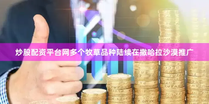 炒股配资平台网多个牧草品种陆续在撒哈拉沙漠推广