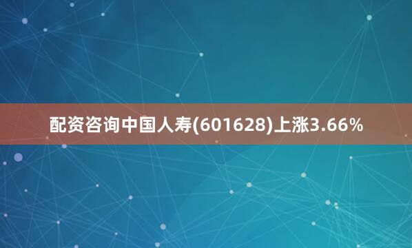 配资咨询中国人寿(601628)上涨3.66%