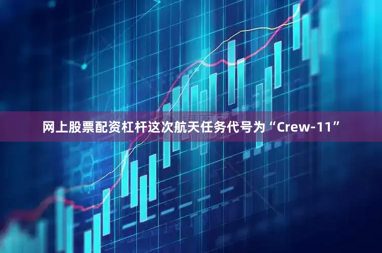 网上股票配资杠杆这次航天任务代号为“Crew-11”